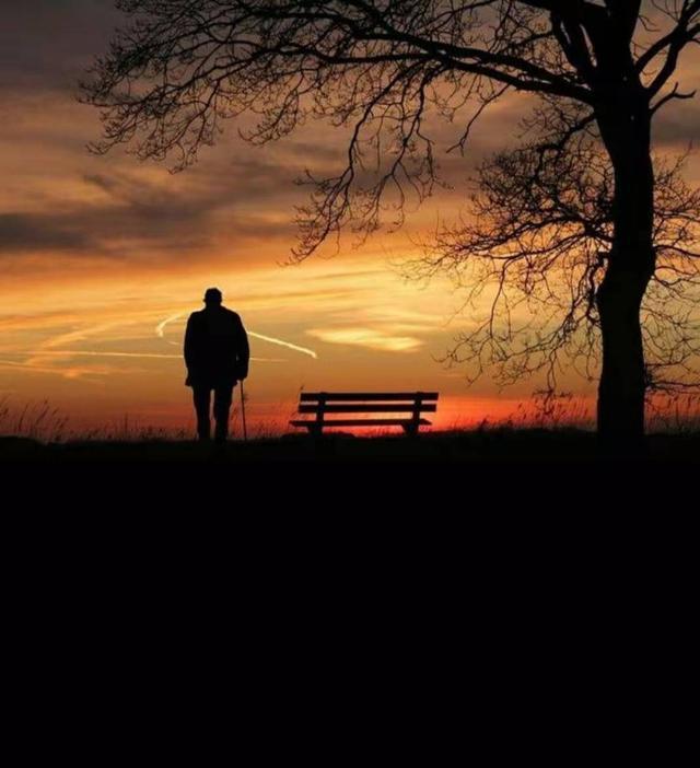 養老，是一場關乎經濟實力和人性的博弈(圖3)